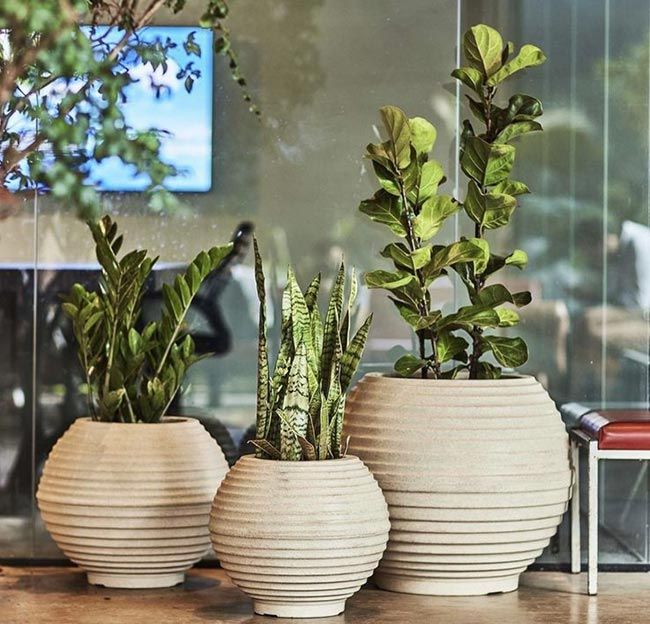 Sprout Sphere Planters